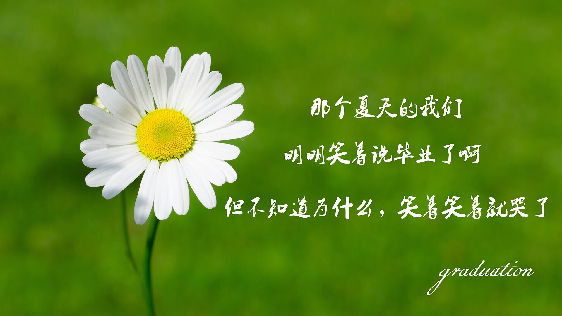 西甲裁判语义分析提升判罚一致性研究，意甲裁判服