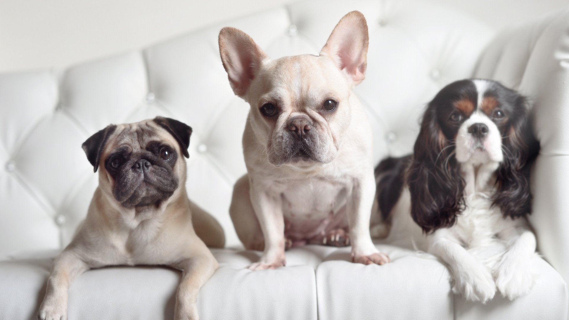 亚洲杯中国女足战败 球迷呼吁重视后防建设,中国女足冲出亚洲了嘛