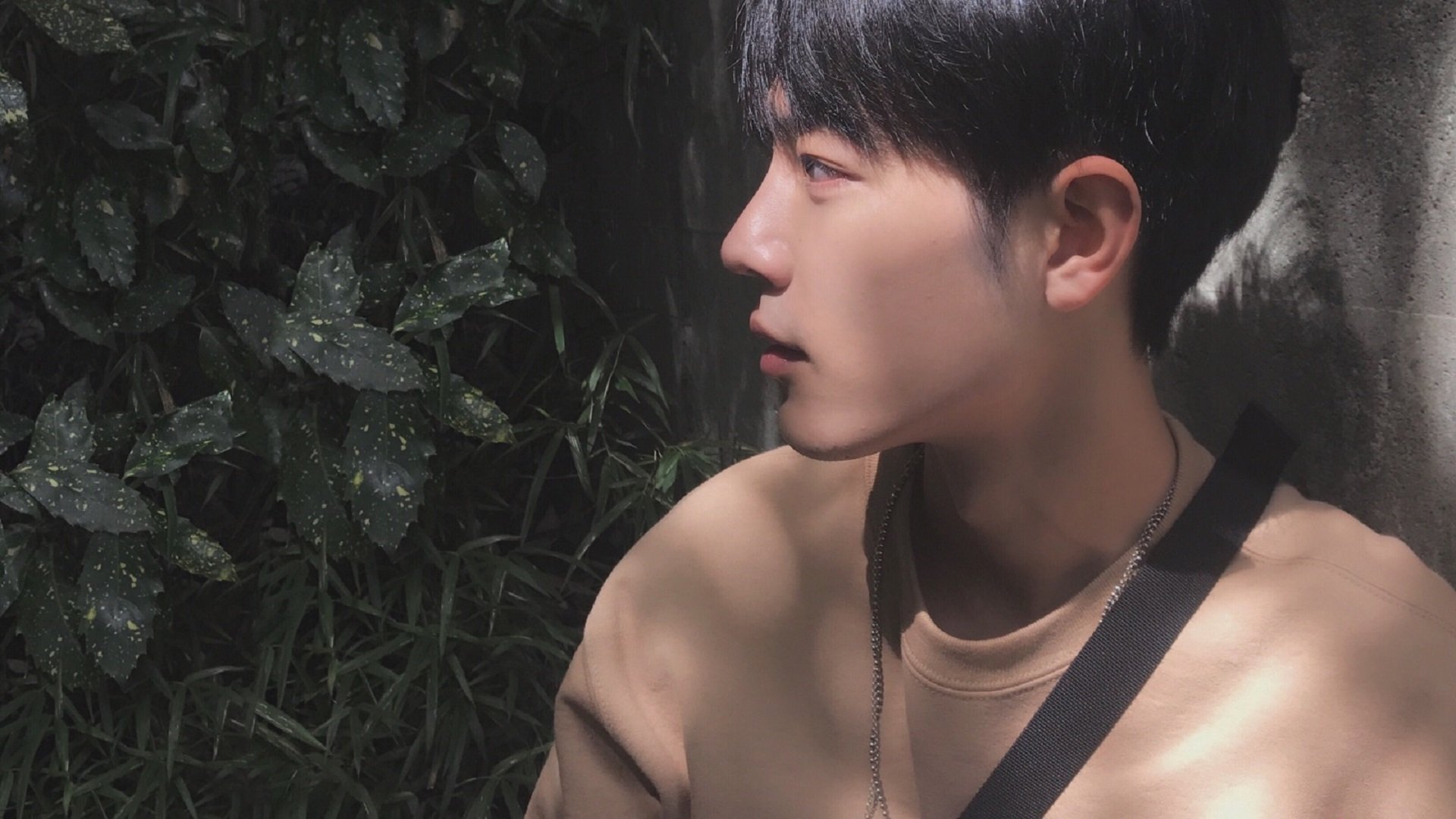 战术执行速度快慢对节奏的影响,战术执行速度快慢对节奏的影响大吗