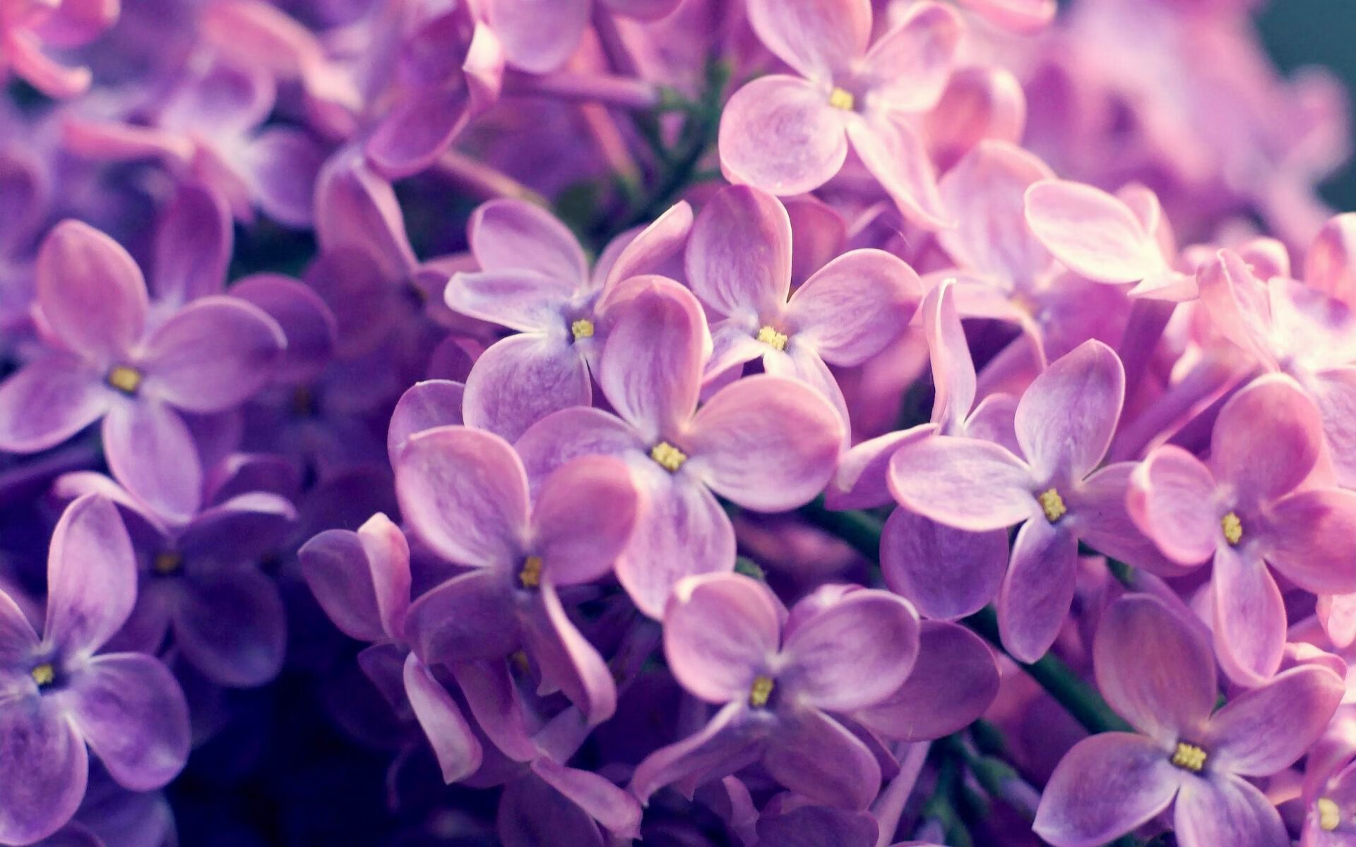 教练激励机制引入数据排名系统，教练kpi