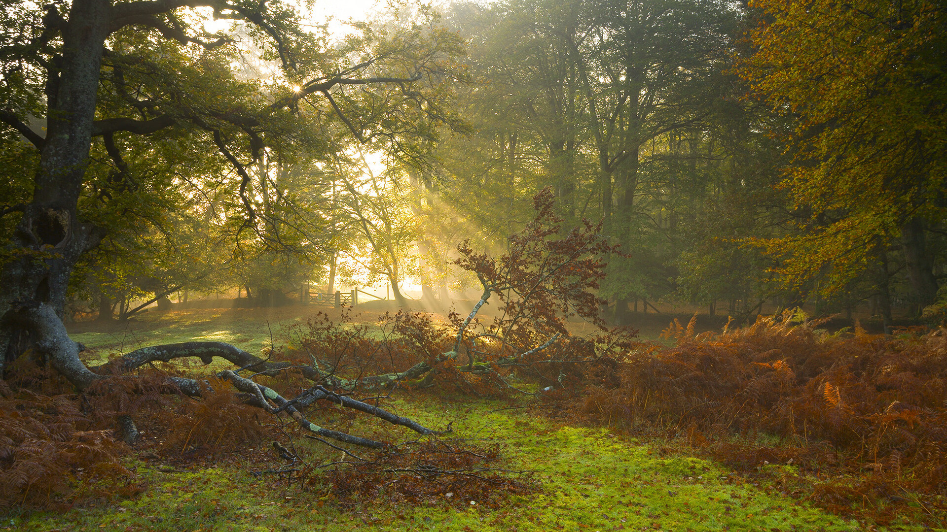 足球解说缺乏“战术数据+实战剪辑”能力