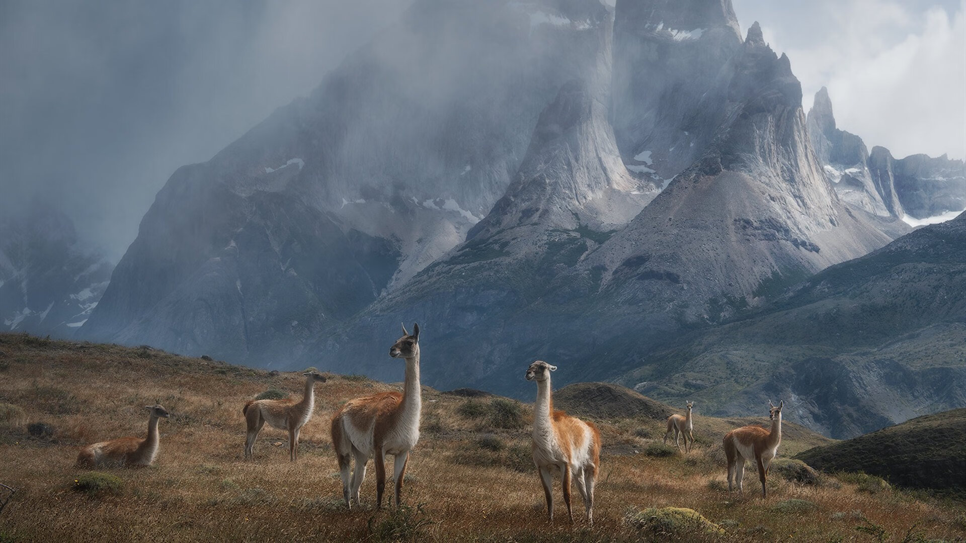 青训球员成材率低的深层原因在哪，青训球员标准