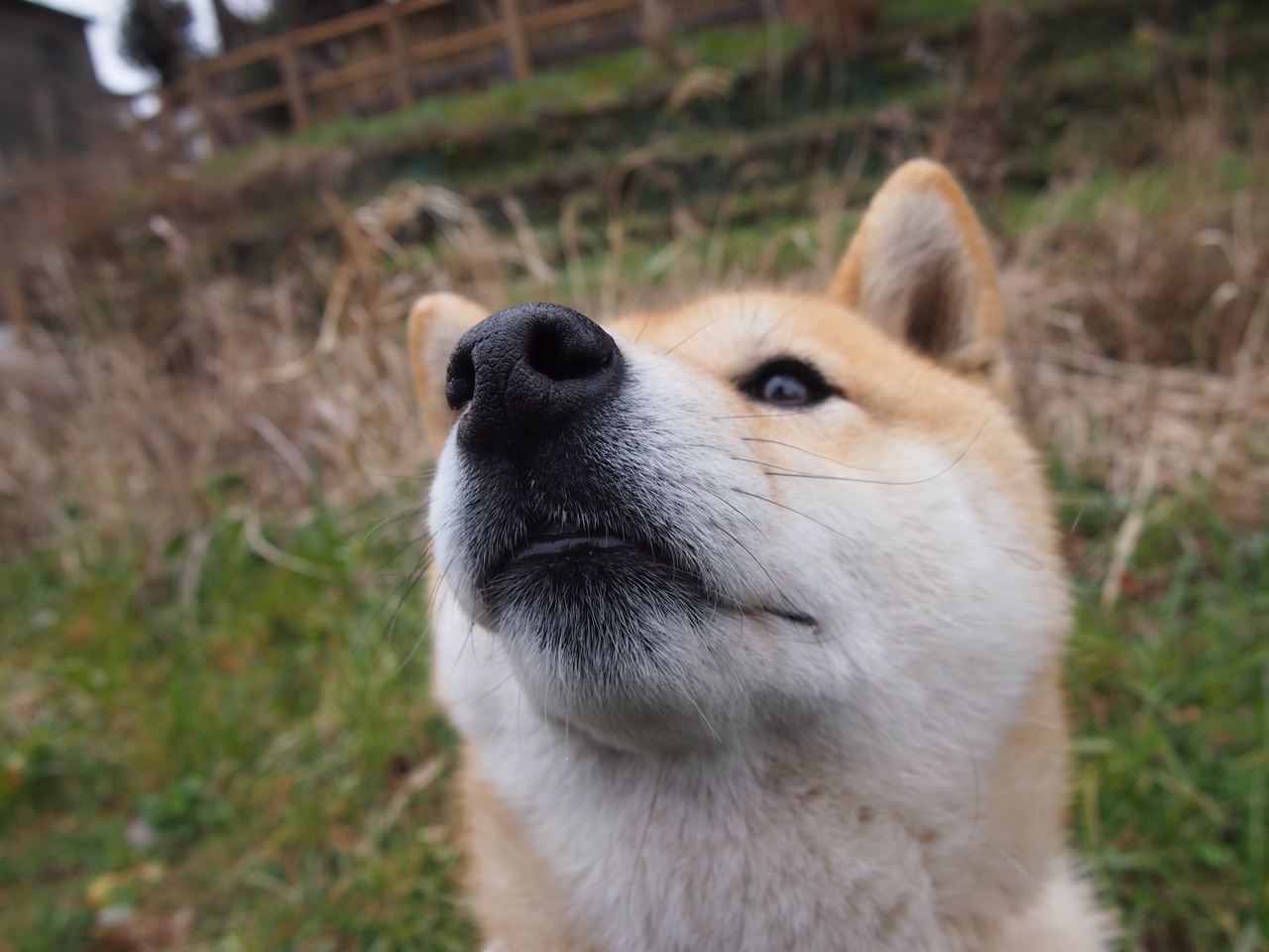 各地联赛交流互动频繁为国内竞技水平整体提升提供动力，多个联赛和国家地区