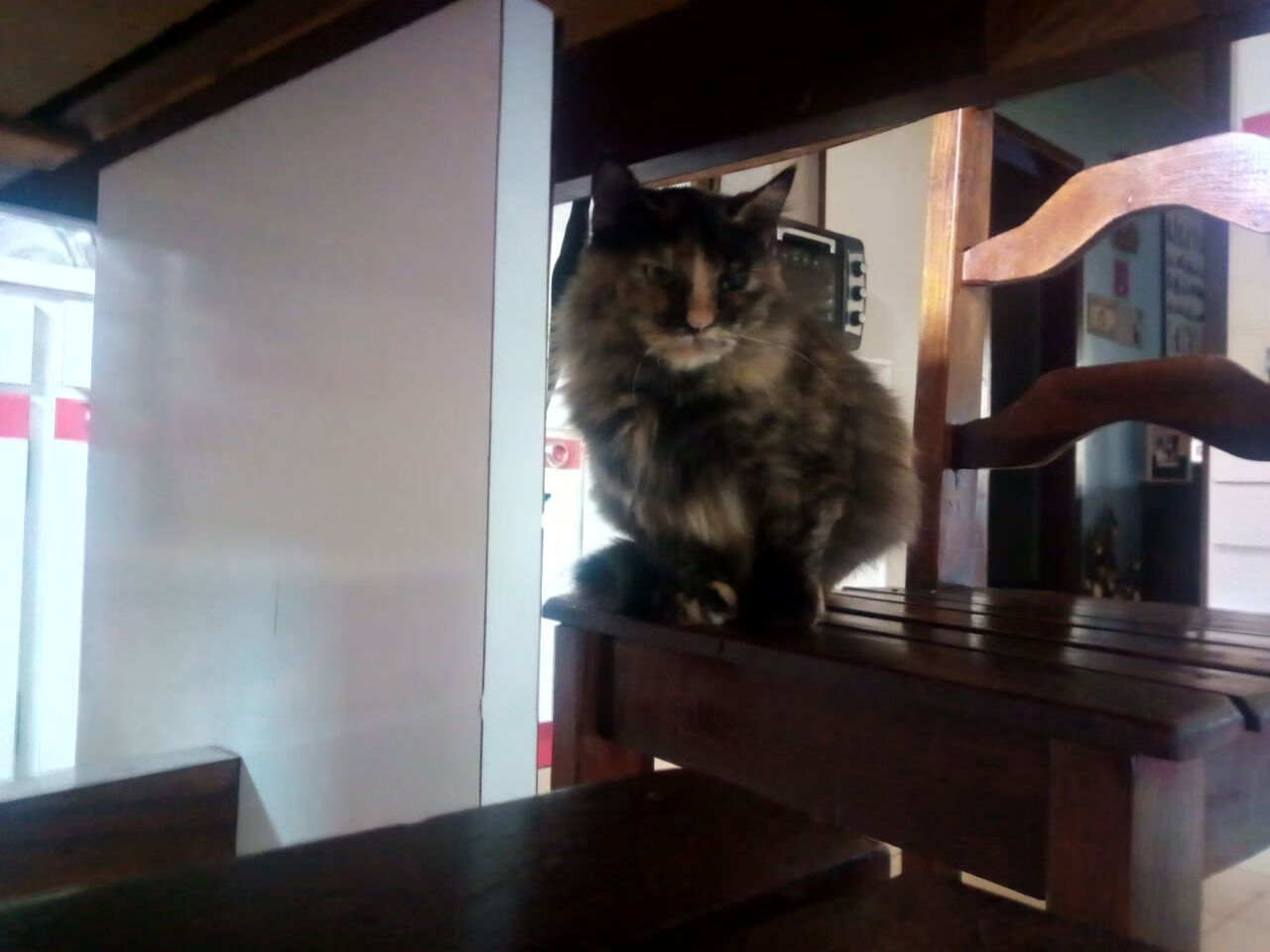 开云网页版登录入口-女子排球国家队集训拉开序幕，女子排球队员