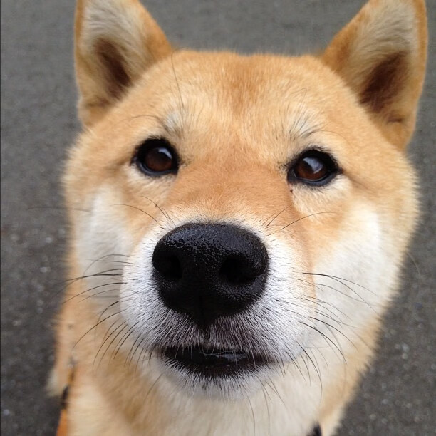 巴尔：全黑队中场的“战术核心”，每一次传球都为队友创造机会